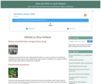 Azbitki.com(çiçek) Screenshot