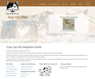 Azfelines.org(Cow Cats Pet Adoption Center) Screenshot