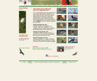 Azfo.org(Arizona Field Ornithologists) Screenshot