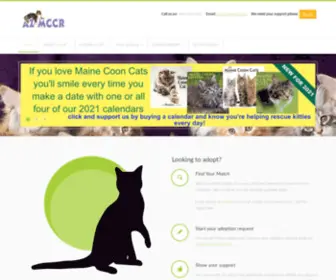 AZMCCR.org(Arizona Maine Coon Cat Rescue) Screenshot