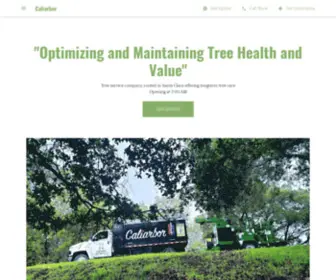 Aztheticlandscaping.com(Tree service company) Screenshot