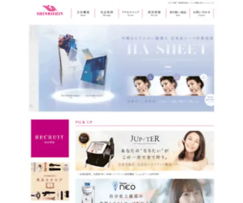 B-Shin.com(株式会社シンビシン) Screenshot