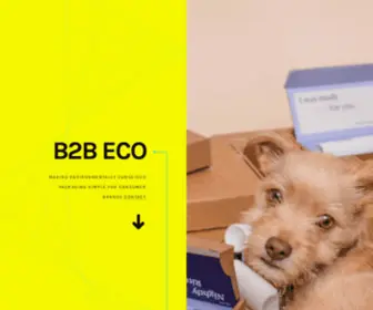 B2B-Eco.com(B2B ECO) Screenshot