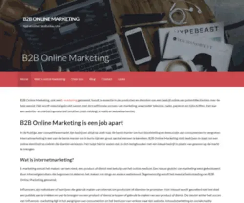 B2B-Onlinemarketing.be(B2B Online Marketing) Screenshot