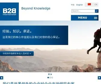 B2Binternational.com.cn(B2B International) Screenshot