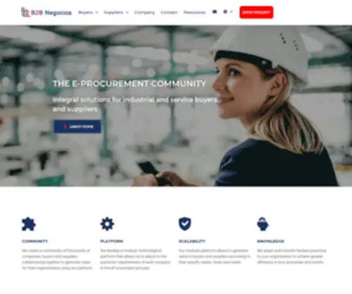 B2Bnegocios.net(B2B Negocios) Screenshot
