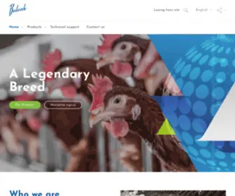 BABCOck-Poultry.com(BABCOck Poultry) Screenshot