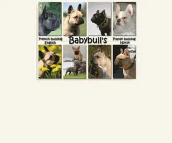 Baby-Bull.com(Babybull's Fransk Bulldog) Screenshot