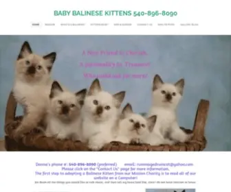 Babybalinesekittens.com(BABY BALINESE KITTENSHome) Screenshot