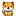 Babydoge.com Favicon