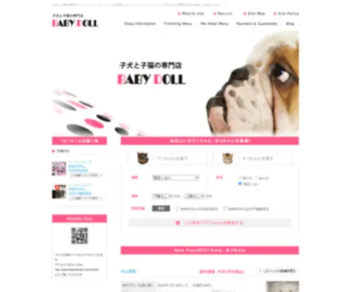 Babydoll-Pet.com(埼玉の子犬と子猫の専門店) Screenshot