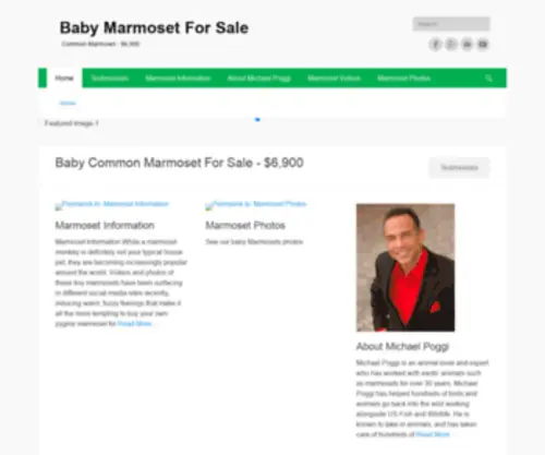 Babymarmosetmonkeyforsale.com(Common Marmoset) Screenshot