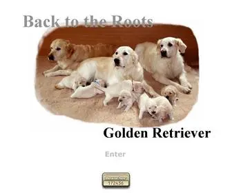 Back-TO-The-Roots-Goldens.de(Golden Retriever Zwinger) Screenshot
