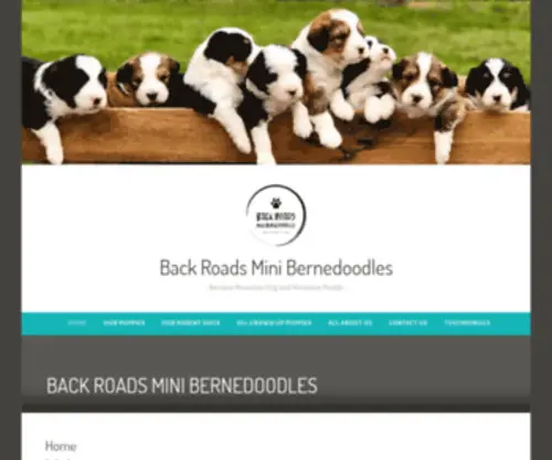 Backroadsminibernedoodles.com(Bernese Mountain Dog and Miniature Poodle) Screenshot