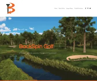 Backspingolfshop.com(BackSpin Golf) Screenshot