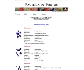 Bacteriainphotos.com(Bacteria in Photos) Screenshot