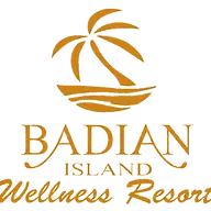 Badianwellness.com Favicon