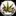Badkatscannapharm.com Favicon