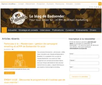 Badsender.com(L'expertise de Badsender c'est 3 missions) Screenshot