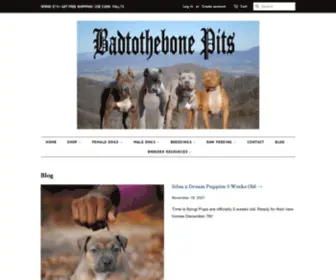 Badtothebonekennels.com(BadtotheBoneKennels) Screenshot