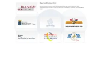 Baerveldt.nl(Baerveldt Beheer B.V) Screenshot