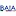 Baia-Network.org Favicon
