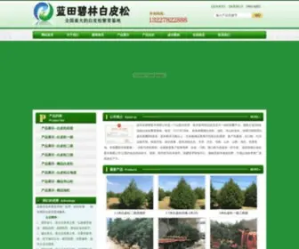 Baipisong.com.cn(白皮松) Screenshot