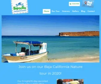 Bajabybus.com(Baja By Bus) Screenshot