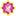 Bajugamisku.com Favicon