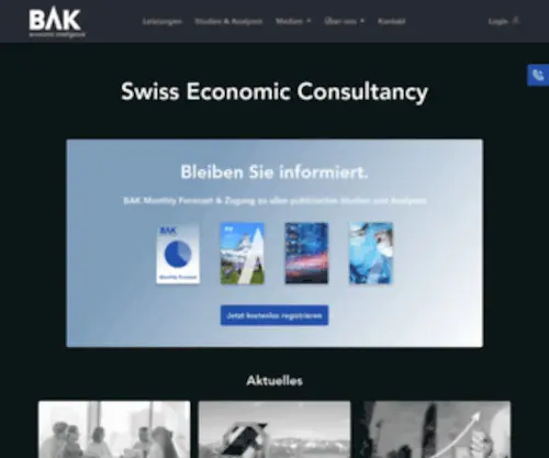 Bak-Economics.com(Ökonomie) Screenshot