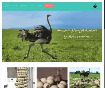 Bakhtar-Toyor.com(خرید شترمرغ) Screenshot
