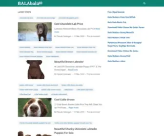 BalaBala10.com(Semua yang kamu mau) Screenshot