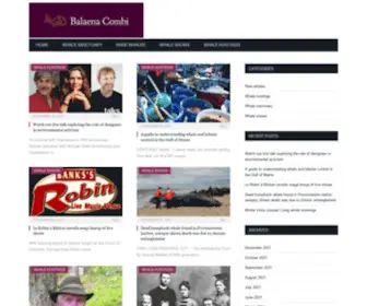 Balaena-Combi.com(Balaena Combi) Screenshot