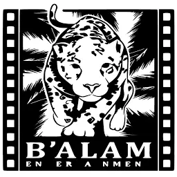 Balam.hn Favicon