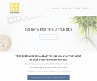 Baldwin-ANN.com(Baldwin-Ann Marketing) Screenshot
