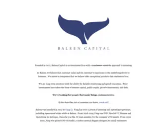 Baleencap.com(Baleen Capital) Screenshot