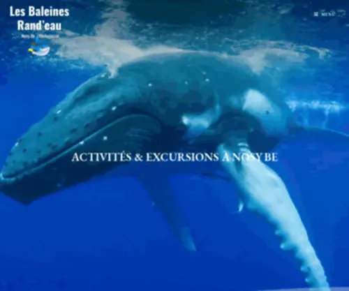 Baleinesrandeau.com(Baleines Rand'eau) Screenshot