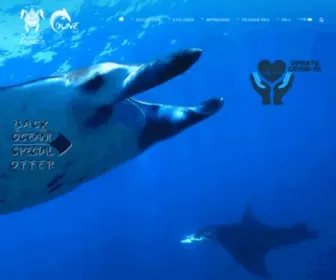 Balidiveaction.com(Plongée) Screenshot