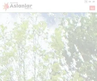 Balikesiraslanlarenerji.com(Aslanlar Enerji) Screenshot