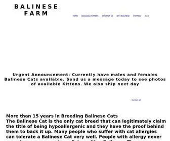 Balinesefarm.com(Cute Balinese) Screenshot