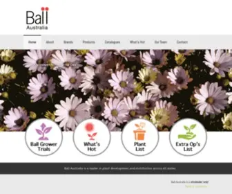 Ballaustralia.com(Ball Australia) Screenshot