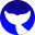 Ballenaswiki.com Logo