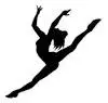 Balleraenadancestudio.com Favicon