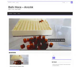 Ballihoca.com(Ballı Hoca) Screenshot