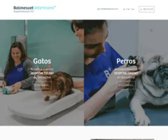 Balmesvet.com(Veterinarios en Barcelona) Screenshot