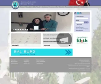 Balmezunlari.org(BAL) Screenshot