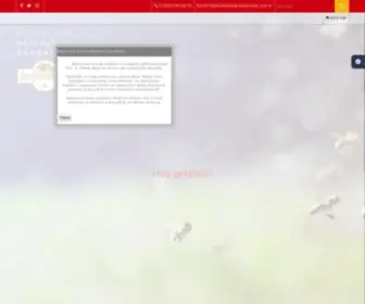 Balparmakaricilikakademisi.com.tr(Balparmak Arıcılık Akademisi) Screenshot