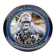 Bamabluebullies.com Logo