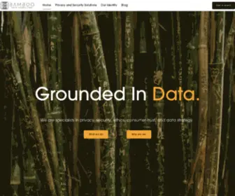 Bamboodataconsulting.com(Bamboo Data Consulting) Screenshot