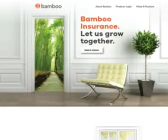 Bambooinsurance.com(Bamboo Insurance) Screenshot